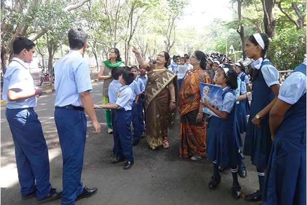 Vidya Niketan School