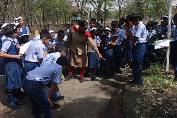 Vidya Niketan School