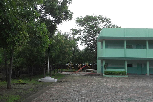 Vidya Niketan School